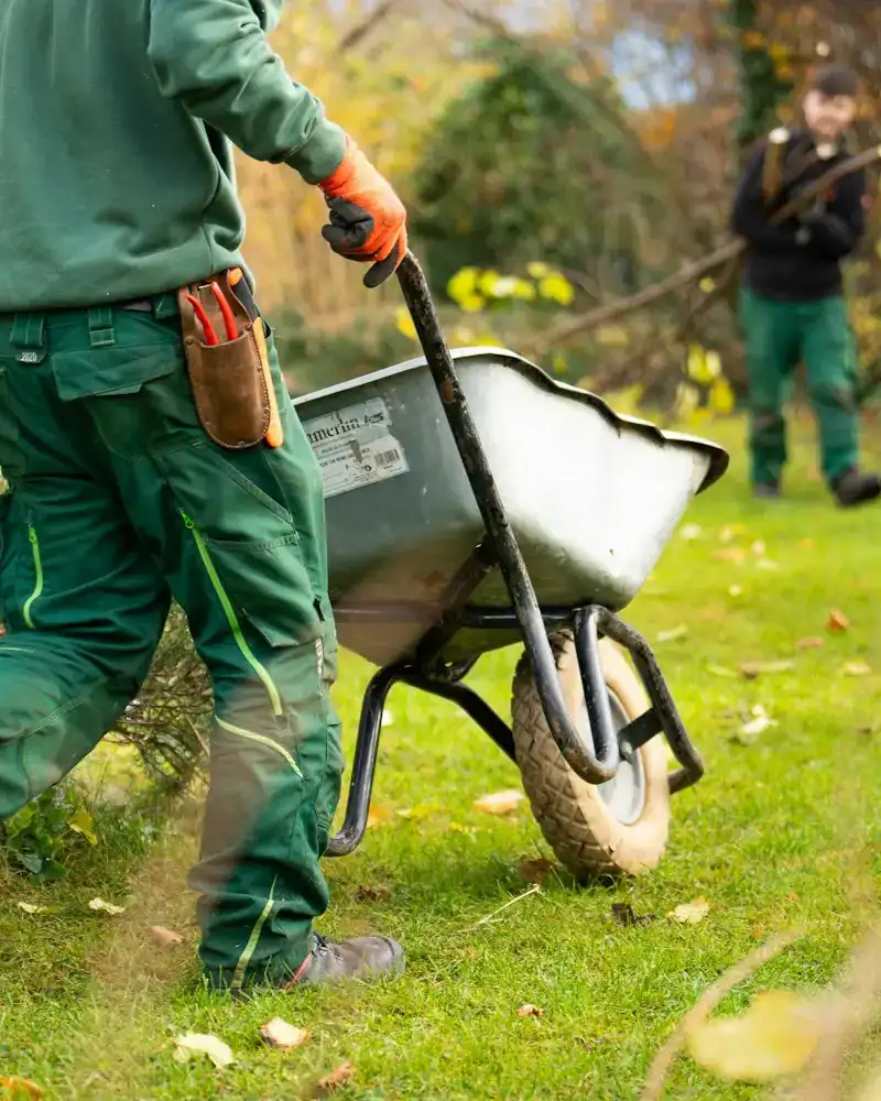 Gärtner schiebt eine Schubkarre über den Rasen