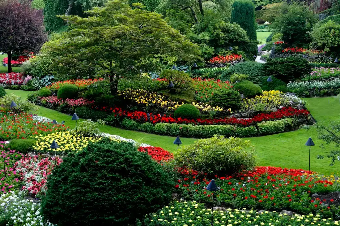 Formaler Garten mit Rasen, Beeten und Formgehölzen