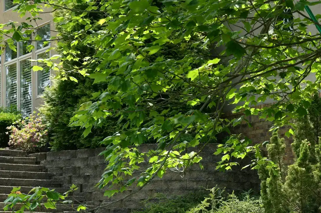 Garten am Hang mit Treppen und Bepflanzung