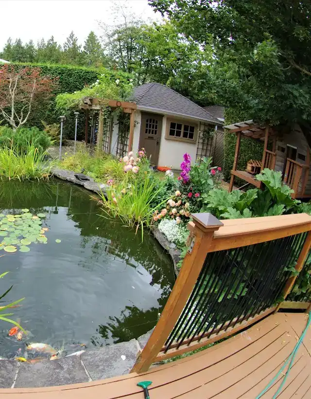 Gartenteich mit Seerosen und Holzdeck
