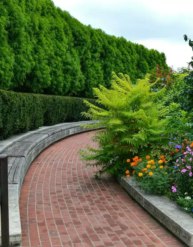 Geschwungener Weg aus rotem Klinker zwischen Hecke und Beet